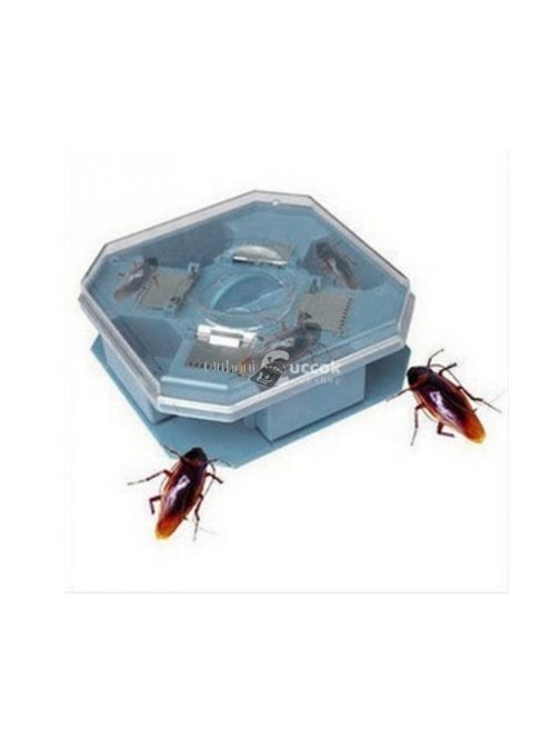 Csótánycsapda (vegyszermentes)