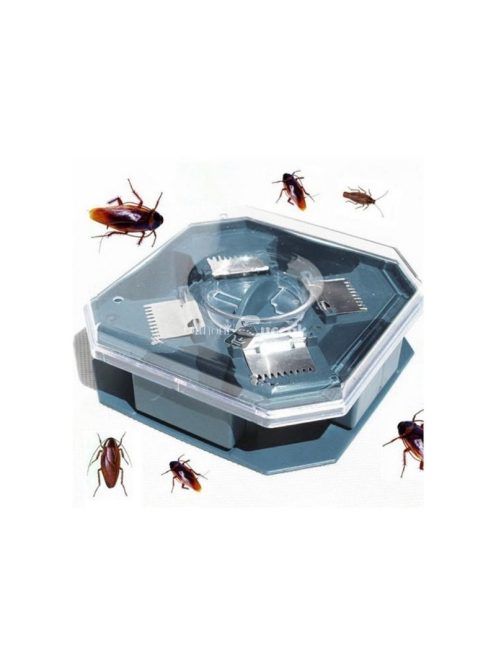 Csótánycsapda (vegyszermentes)