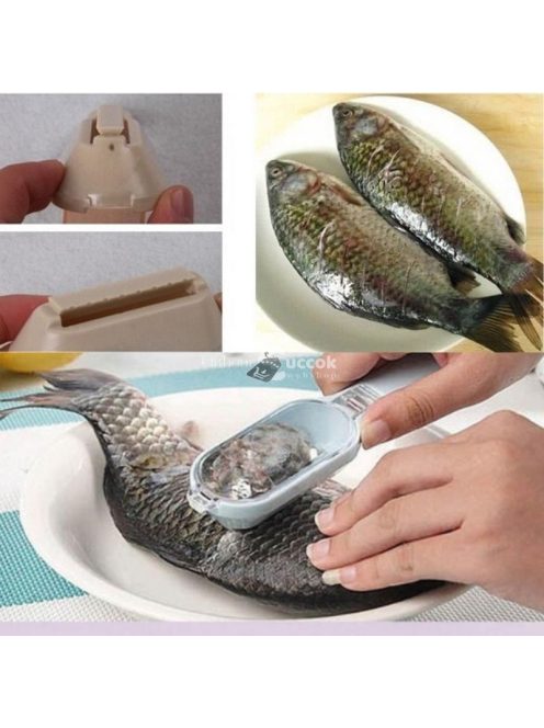 Halpucoló, halpikkelyező, haltisztító