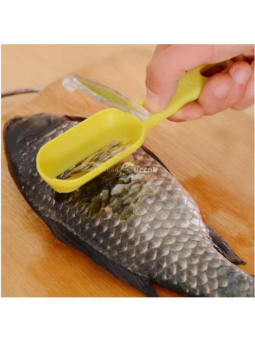 Halpucoló, halpikkelyező, haltisztító