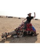 Lófej maszk - Jelmez kiegészítő partira és szórakozáshoz