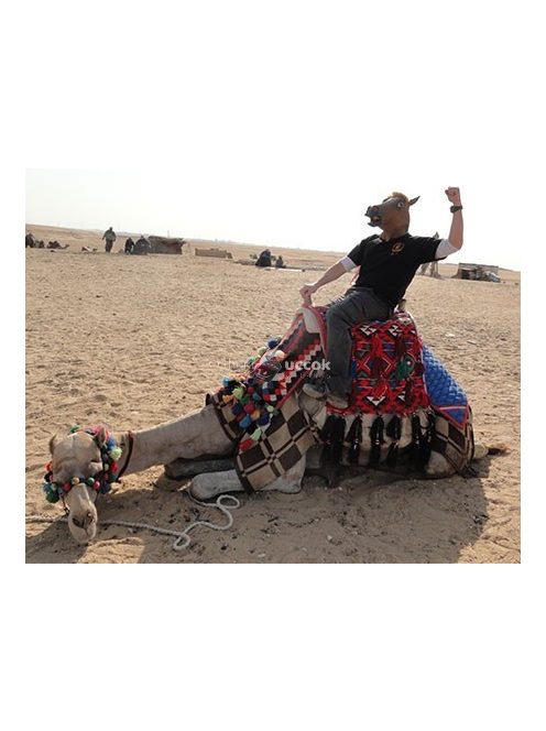 Lófej maszk - Jelmez kiegészítő partira és szórakozáshoz