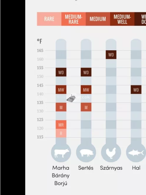 Digitális Maghőmérő és Konyhai Ételhőmérő Pontos Főzési Hőmérséklet Mérő Eszköz