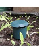 Vegyszermentes csiga csapda kertbarát növényvédelemhez