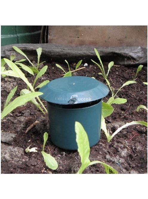 Vegyszermentes csiga csapda kertbarát növényvédelemhez