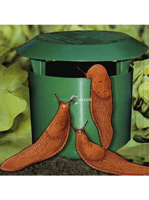 Vegyszermentes csiga csapda kertbarát növényvédelemhez