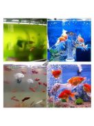 Akváriumi Hulladék és Hal Ürülék Gyűjtő, Automata Szűrő és Tisztító Rendszer Kényelmes Akvárium Karbantartáshoz