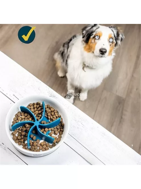 Habzsolásgátló etetőtál kutyusoknak - Lassú evés elősegítő eszköz