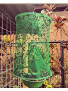 Légycsapda - Hatékony Rovarcsapda Otthoni és Kerti Használatra