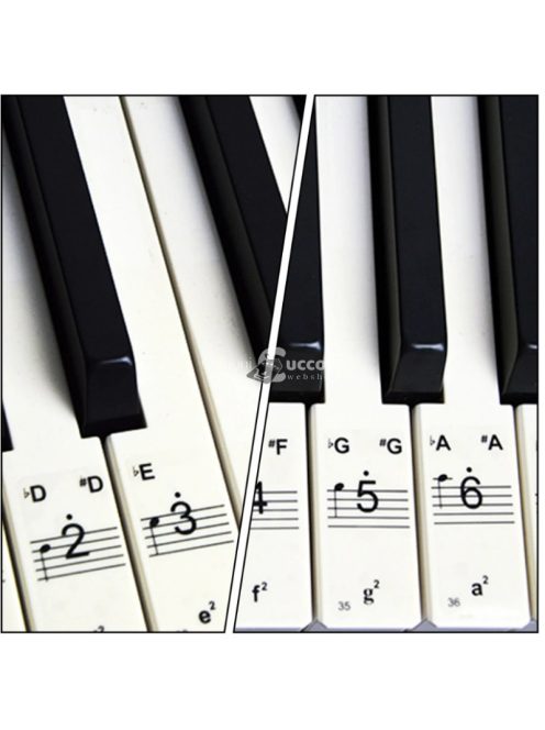 Átlátszó zongorabillentyűzet matricák, fekete-fehér, könnyű tanuláshoz és gyakorláshoz
