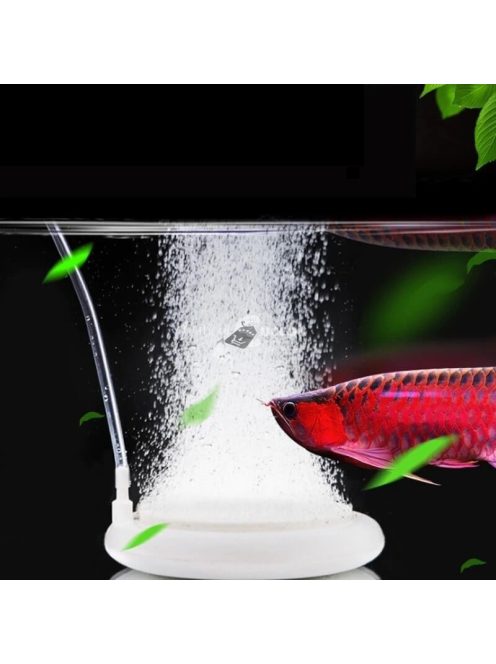 Nano akváriumi levegőztető kis méretű akváriumokhoz