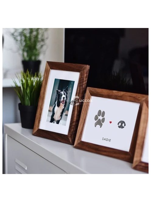 Tappancs Lenyomat Készítő – Emlékmegőrző Készlet Kisállatok Számára