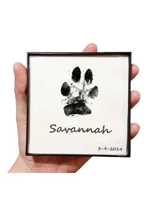 Tappancs Lenyomat Készítő – Emlékmegőrző Készlet Kisállatok Számára