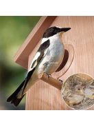 Madárház és madárles kültéri megfigyeléshez