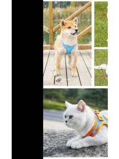   Macskahám pórázzal, kényelmes és biztonságos séta macskáknak