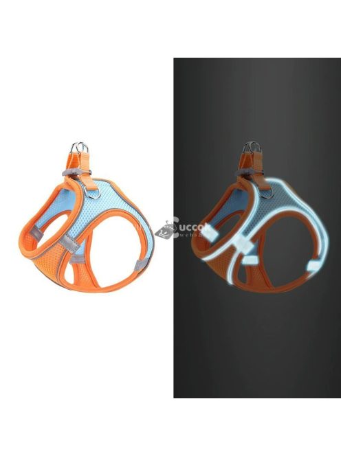 Macskahám pórázzal, kényelmes és biztonságos séta macskáknak