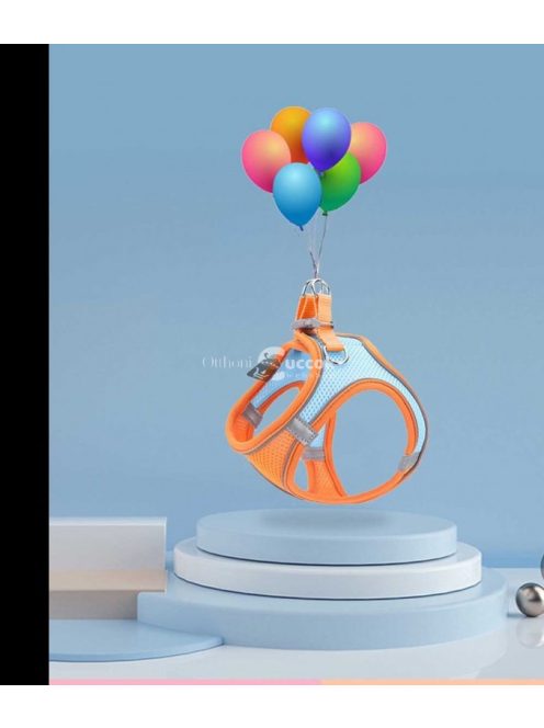 Macskahám pórázzal, kényelmes és biztonságos séta macskáknak