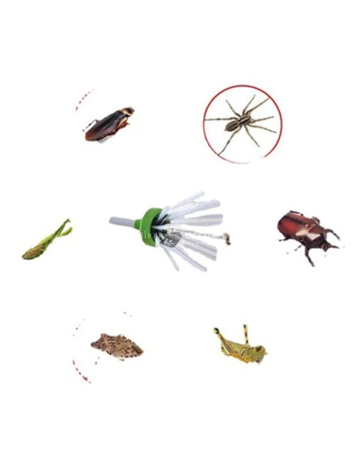 Pók és Rovarfogó Pálca – Hatékony és Környezetbarát Eszköz Otthoni Használatra