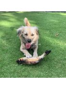 Ficánkoló Halacska Interaktív Elektromos Cicajáték Macskák Szórakoztatására