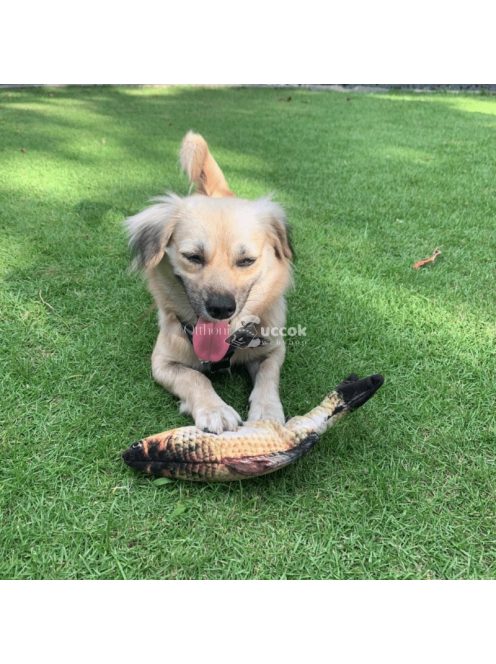 Ficánkoló Halacska Interaktív Elektromos Cicajáték Macskák Szórakoztatására