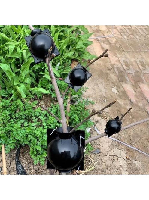 Gyökereztető burok növények szaporításához és gyökérfejlesztéshez