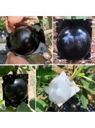 Gyökereztető burok növények szaporításához és gyökérfejlesztéshez