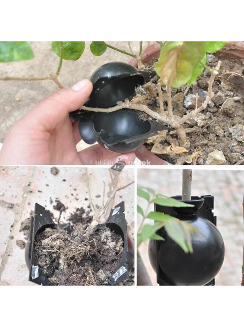 Gyökereztető burok növények szaporításához és gyökérfejlesztéshez