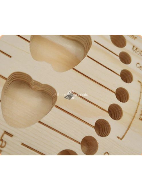 Fogtartó dobozka - Kompakt és higiénikus tárolóeszköz fogszabályzókhoz és protézisekhez