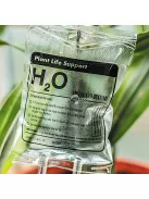 Növény Infúzió - Gyógynövényes Ital Készítő Készlet