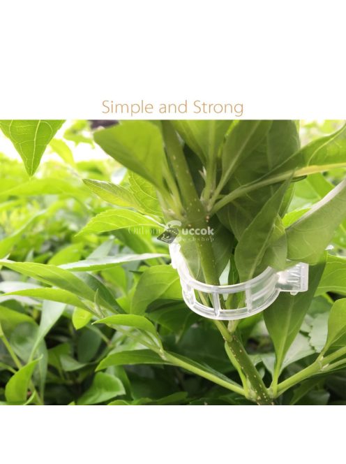 30db Paradicsom Inda Rögzítő Csipesz Kertészeti Növénytartó Klipsz