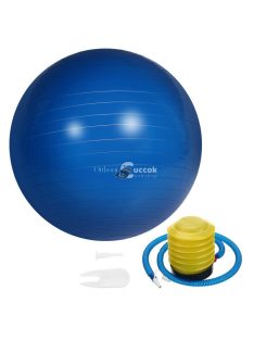   Gimnasztikai edzőlabda pumpával, 65 cm átmérőjű, otthoni és fitnesztermi használatra