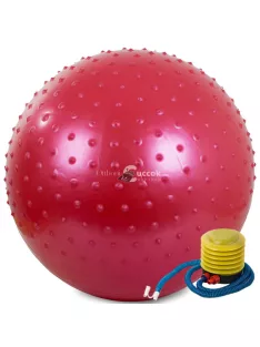   Gimnasztikai edzőlabda pumpával, 55 cm átmérőjű fitnesz és jóga labda