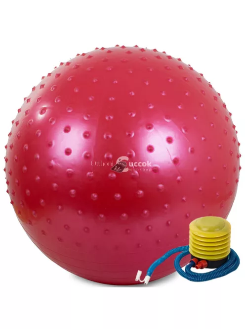 Gimnasztikai edzőlabda pumpával, 55 cm átmérőjű fitnesz és jóga labda