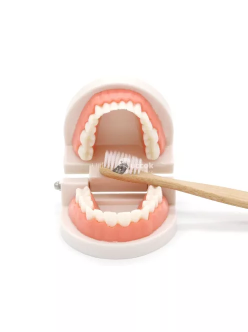 Gyermekek számára készült fogmosás oktató segédeszköz – Interaktív tanulási eszköz