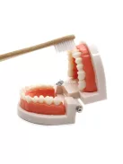 Gyermekek számára készült fogmosás oktató segédeszköz – Interaktív tanulási eszköz