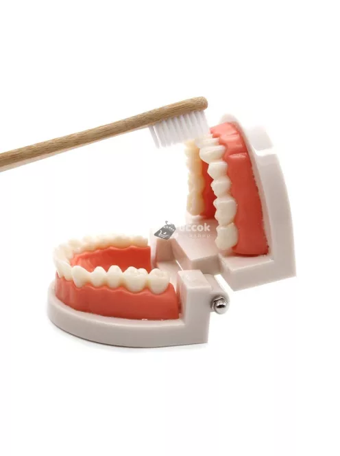 Gyermekek számára készült fogmosás oktató segédeszköz – Interaktív tanulási eszköz