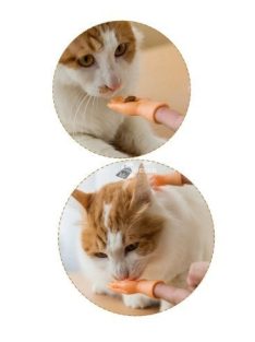   Vicces mini ujjra húzható kezek macskagazdiknak - kreatív játék és szórakozás macskatulajdonosoknak