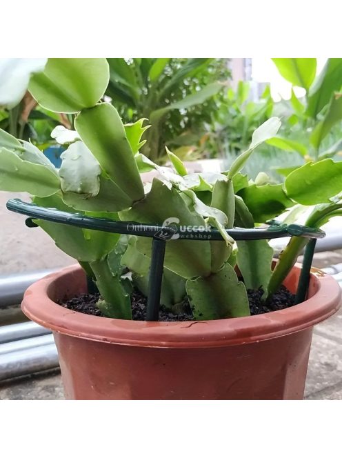 Műanyag növénytámasztó keret szett kertészeti növényekhez és virágokhoz