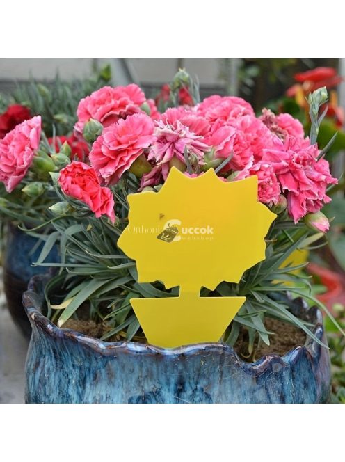 5db Hatékony Ragadós Rovarcsapda Beltéri és Kültéri Használatra