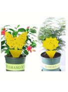 5db Hatékony Ragadós Rovarcsapda Beltéri és Kültéri Használatra