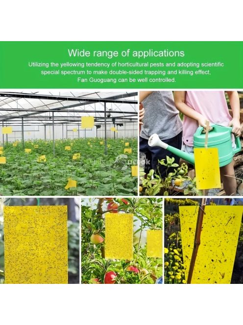 Ragacsos rovarfogó papír tekercs, beltéri és kültéri használatra, 10 darabos csomag