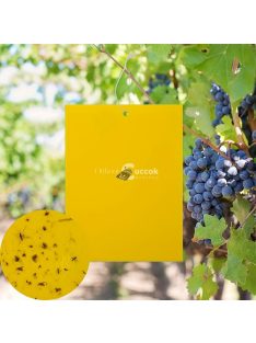   50db Hatékony Ragasztós Légyfogó Papír Beltéri és Kültéri Használatra