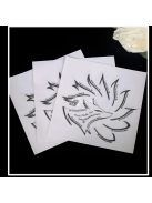 Professzionális Easycap szemceruza stencil és szemhéjfesték sablon készlet sminkhez