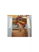 Biztonsági rácsos elválasztó ajtó kutyáknak és macskáknak otthoni használatra