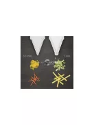 Zöldség- és gyümölcsszeletelő és reszelő - Konyhai eszköz egyszerű használattal és gyors eredménnyel.