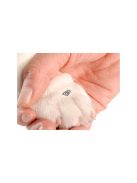 Kutyaköröm- és macskaköröm-vágó olló zárral – Biztonságos és hatékony körömápoló eszköz kisállatoknak