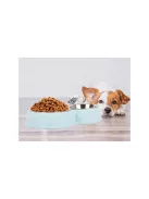 Két tál kutyáknak és macskáknak, rozsdamentes acélból, étel és víz számára, nagy és kis állatoknak, praktikus és tartós kialakítással.