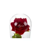 Malatec 21619 csillogó rózsa dekoráció üvegben