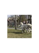 Fényvisszaverő edzés póráz 5m Purlov 21655 kutyasétáltatáshoz és kiképzéshez