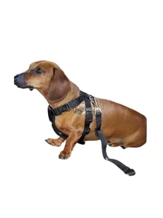 Kutya biztonsági öv az autóba